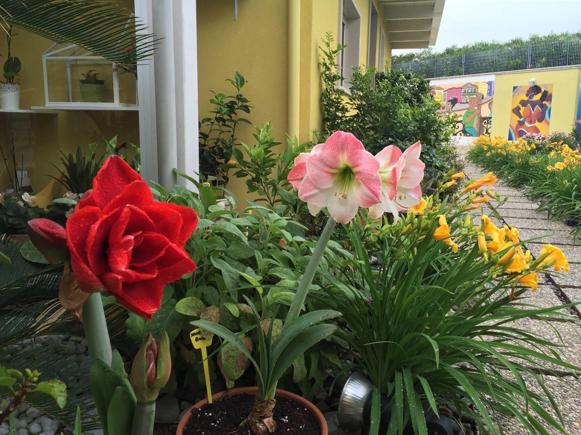 Bed and Breakfast La Casa (Adults Only) Bari Exterior foto